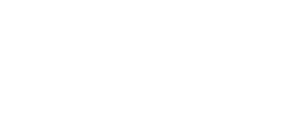 Logo groupe BPCE blanc