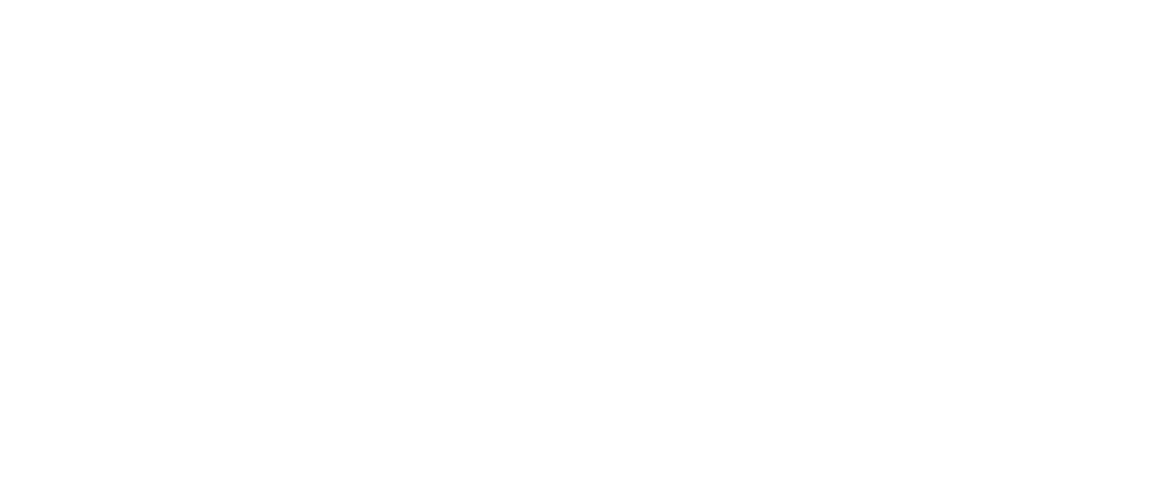 Logo vinci blanc